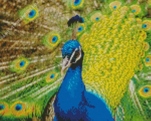 Proud Peacock Diamond Painting