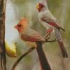 Pyrrhuloxia Cardinal Bird Couple Diamond Painting