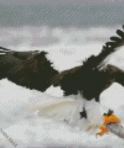 Sea Eagle Hunting Diamond Painting