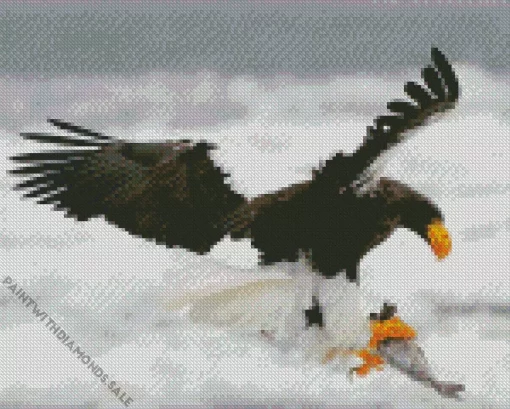 Sea Eagle Hunting Diamond Painting