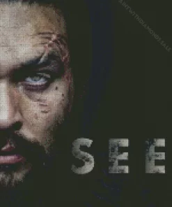 See Poster Jason Momoa Diamond Painting