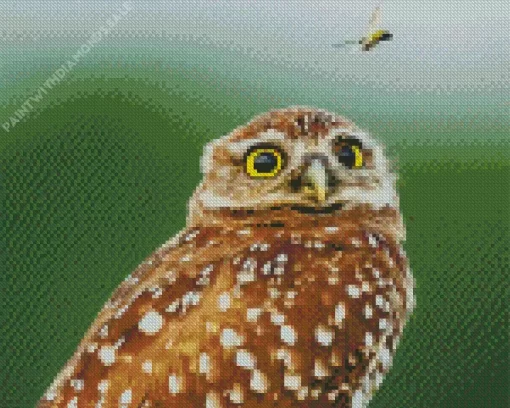 The Little Owl Diamond Painting