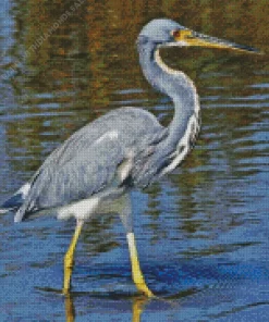 Tricolored Heron Bird Diamond Painting