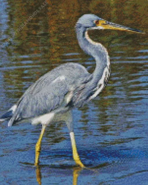 Tricolored Heron Bird Diamond Painting