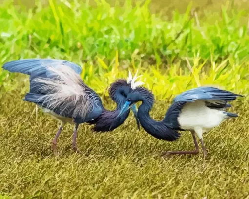 Tricolored Heron Couple Diamond Painting