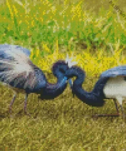 Tricolored Heron Couple Diamond Painting