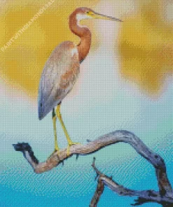 Tricolored Heron On A Branch Diamond Painting