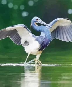 Tricolored Heron Wings Diamond Painting