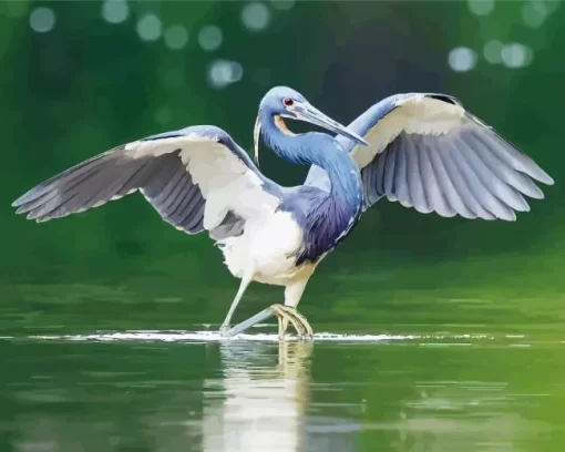 Tricolored Heron Wings Diamond Painting