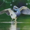 Tricolored Heron Wings Diamond Painting