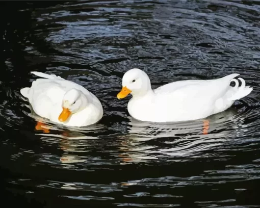 White Duck Couple Diamond Painting