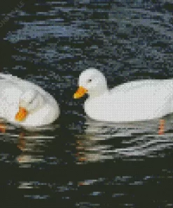 White Duck Couple Diamond Painting