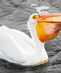 White Pelican Diamond Painting