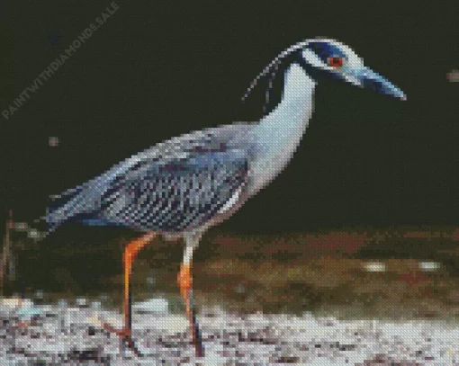 Yellow Crowned Heron Diamond Painting