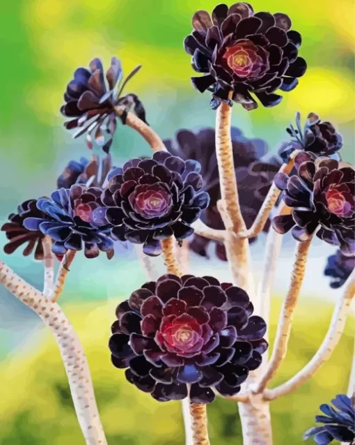 Aeonium Succulent Diamond Painting