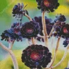 Aeonium Succulent Diamond Painting