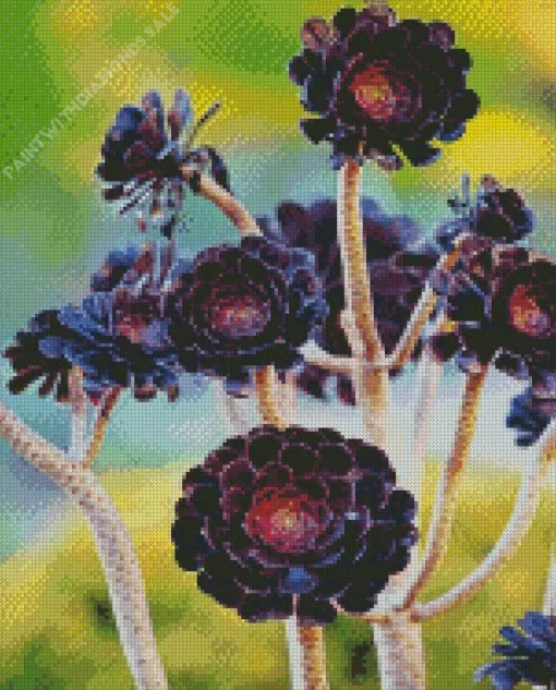 Aeonium Succulent Diamond Painting