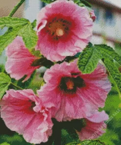 Aesthetic Hollyhocks Diamond Painting