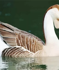 African Goose Diamond Painting