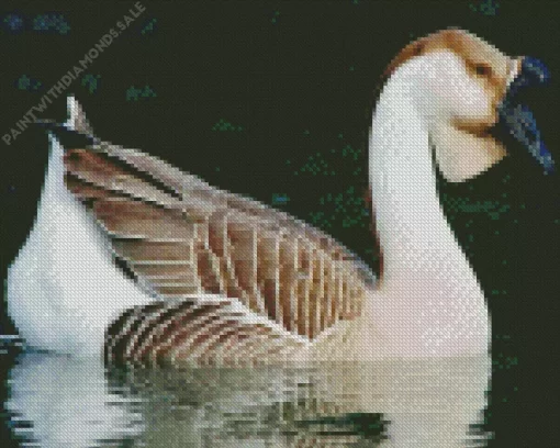 African Goose Diamond Painting