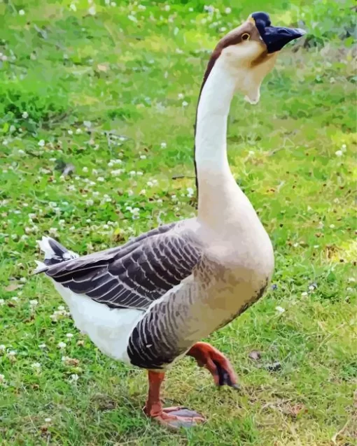 African Goose Bird Diamond Painting