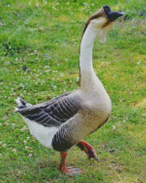 African Goose Bird Diamond Painting