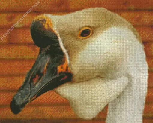 African Goose Close Up Diamond Painting