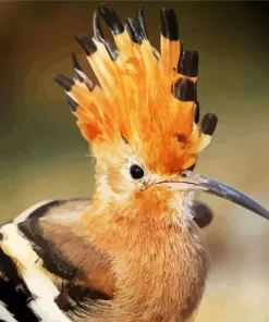 African Hoopoe Close Up Diamond Painting