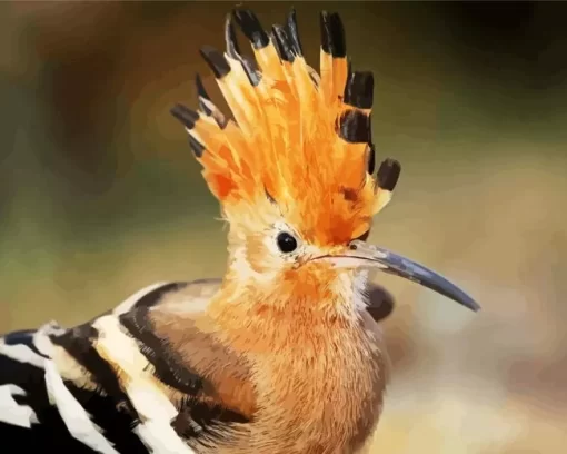 African Hoopoe Close Up Diamond Painting