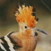 African Hoopoe Close Up Diamond Painting