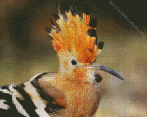 African Hoopoe Close Up Diamond Painting