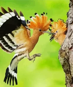 African Hoopoe Couple Diamond Painting