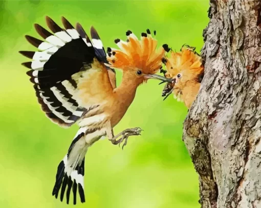 African Hoopoe Couple Diamond Painting