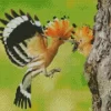 African Hoopoe Couple Diamond Painting