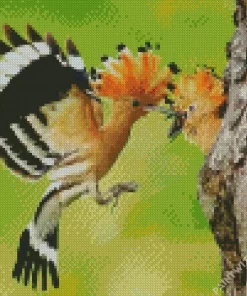 African Hoopoe Couple Diamond Painting