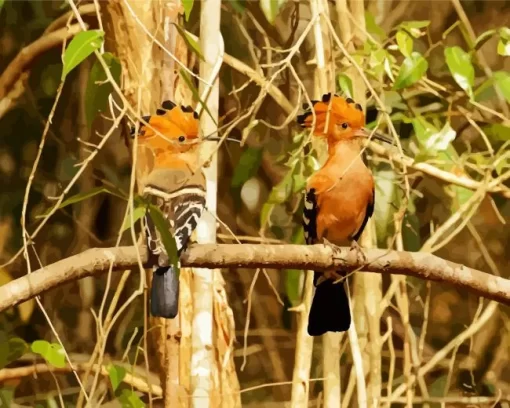 African Hoopoe Pair Diamond Painting