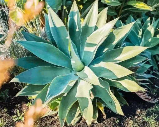 Agave Succulent Diamond Painting