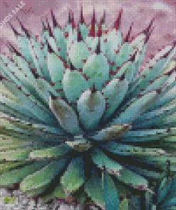 Agave Succulent Plants Diamond Painting