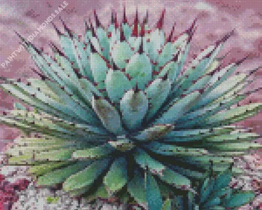 Agave Succulent Plants Diamond Painting