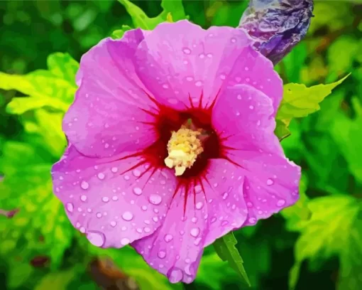 Althea Hibiscus Syriacus Diamond Painting