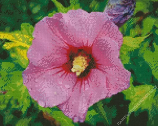 Althea Hibiscus Syriacus Diamond Painting