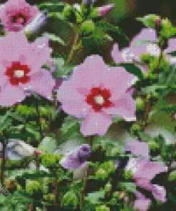 Althea Rose Of Sharon Diamond Painting