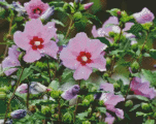 Althea Rose Of Sharon Diamond Painting