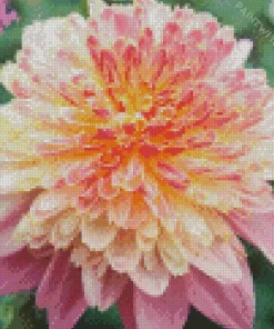 Anemone Dahlias Diamond Painting