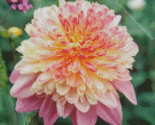 Anemone Dahlias Diamond Painting