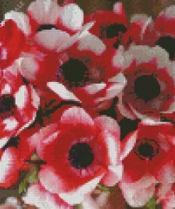 Anemone Jerusalem Red White Diamond Painting