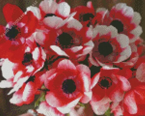 Anemone Jerusalem Red White Diamond Painting