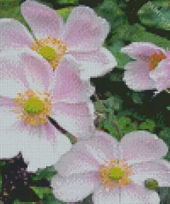 Anemone Flower Diamond Painting