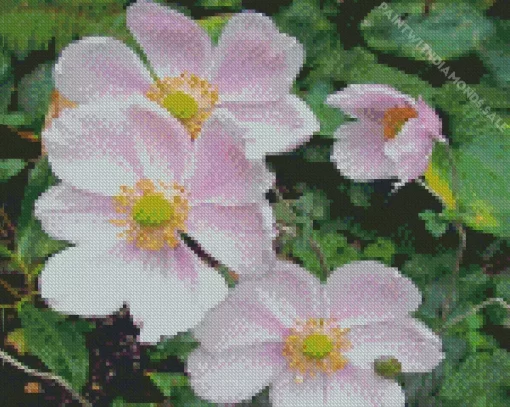 Anemone Flower Diamond Painting