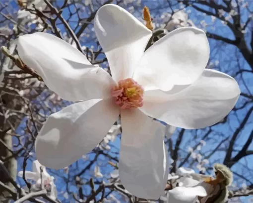 Anise Magnolia Diamond Painting